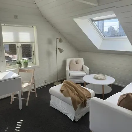 Fin Og Apen I Sentrum Apartment